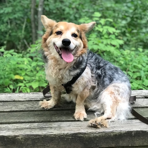 Happy horse girl! - Picture 4 of 4